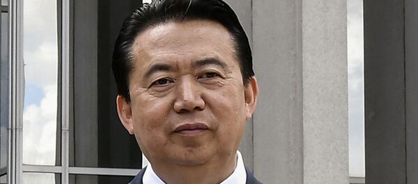 Meng Hongwei, exjefe de Interpol - Sputnik Việt Nam