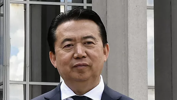 Meng Hongwei, exjefe de Interpol