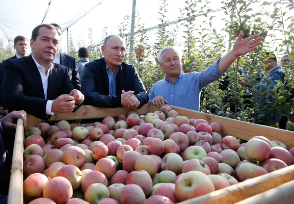 Tổng thống Nga Vladimir Putin và Thủ tướng Dmitry Medvedev thăm vườn táo của doanh nghiệp “Rassvet” ở vùng Stavropol Tổng thống Nga Vladimir Putin và Thủ tướng Dmitry Medvedev thăm vườn táo của doanh nghiệp “Rassvet” ở vùng Stavropol - Sputnik Việt Nam