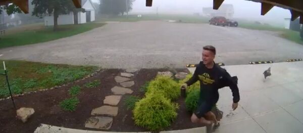 Một người Mỹ khó khăn lắm mới chạy thoát con gà, gây cười trên mạng Một người Mỹ khó khăn lắm mới chạy thoát con gà, gây cười trên mạng - Sputnik Việt Nam