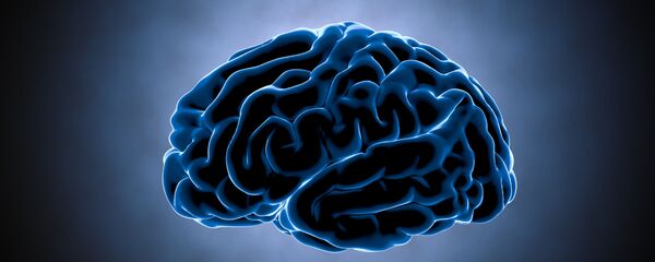 Não Não - Sputnik Việt Nam