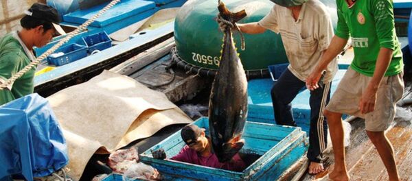 Dự kiến ngày 31/10, đoàn Ủy ban Nghề cá Nghị viện châu Âu và tháng 1/2019, đoàn Thanh tra của Ủy ban châu Âu sẽ sang Việt Nam để kiểm tra việc khắc phục “thẻ vàng” thủy sản từ EU. - Sputnik Việt Nam