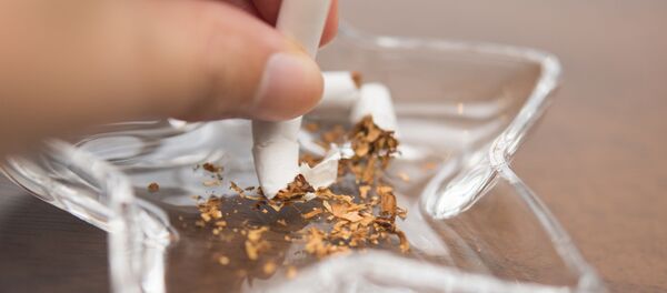 Thuốc lá - Sputnik Việt Nam