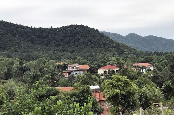 Người dân vào sống trong rừng phòng hộ ở xã Minh Phú từ đầu những năm 1990 - Sputnik Việt Nam