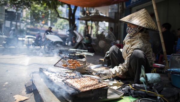 Một phụ nữ bán quà vặt trên đường phố Hà Nội - Sputnik Việt Nam