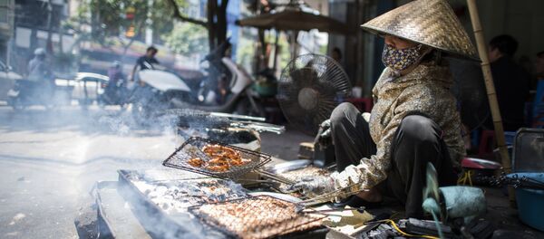 Một phụ nữ bán quà vặt trên đường phố Hà Nội - Sputnik Việt Nam