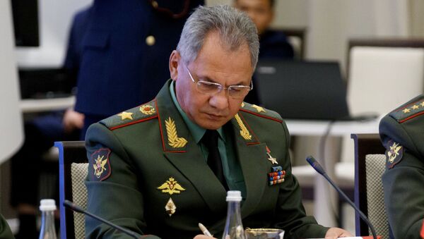 Bộ trưởng Quốc phòng Sergei Shoigu  - Sputnik Việt Nam