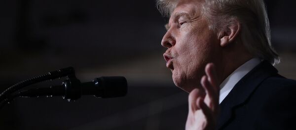 Tổng thống Mỹ Donald Trum - Sputnik Việt Nam
