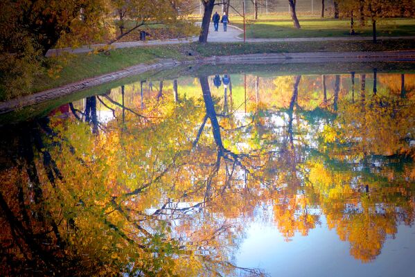 Hồ Novodevichy nhỏ ở Moskva - Sputnik Việt Nam