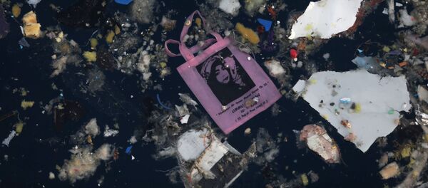 Đồ dùng cá nhân của hành khách được tìm thấy tại địa điểm xảy ra vụ tai nạn máy bay chở khách Boeing 737 của hãng hàng không Lion Air ngoài khơi bờ biển phía Tây đảo Java - Sputnik Việt Nam