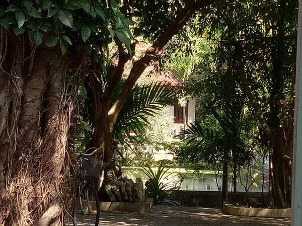 Một hạng mục vi phạm còn nguyên vẹn nằm ẩn giữa cây cối dù cơ quan chức năng đã tháo dỡ hơn 80% Một hạng mục vi phạm còn nguyên vẹn nằm ẩn giữa cây cối dù cơ quan chức năng đã tháo dỡ hơn 80% - Sputnik Việt Nam