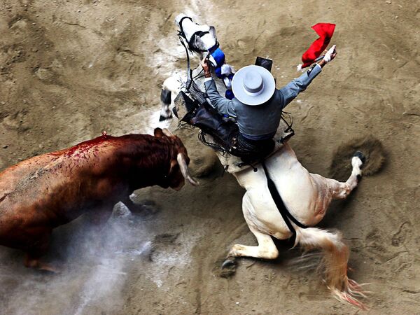 Bức ảnh Matador de Toros (Đấu sĩ) của nhiếp ảnh gia Luis Henry Agudelo Cano, giải nhì trong hạng mục “Thể thao trong chuyển động”, cuộc thi SIPA Contest Photographer of the Year 2018 - Sputnik Việt Nam