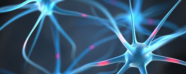 Tế bào thần kinh trong não người. - Sputnik Việt Nam