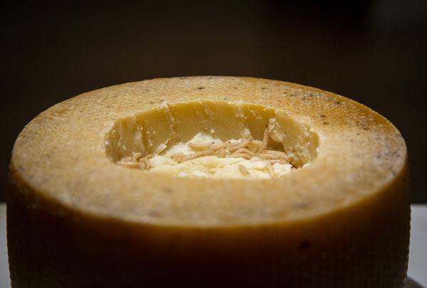 Phô mai Kasu marzu từ Sardinia - phô mai thối hoặc phô mai dòi, chứa ấu trùng ruồi phô mai Phô mai Kasu marzu từ Sardinia - phô mai thối hoặc phô mai dòi, chứa ấu trùng ruồi phô mai - Sputnik Việt Nam