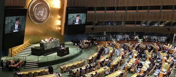 Đại sứ Đặng Đình Quý, Trưởng Phái đoàn thường trực Việt Nam tại LHQ tham dự và phát biểu tại Phiên thảo luận. Đại sứ Đặng Đình Quý, Trưởng Phái đoàn thường trực Việt Nam tại LHQ tham dự và phát biểu tại Phiên thảo luận. - Sputnik Việt Nam