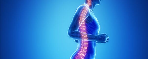 Работа позвоночника - Sputnik Việt Nam