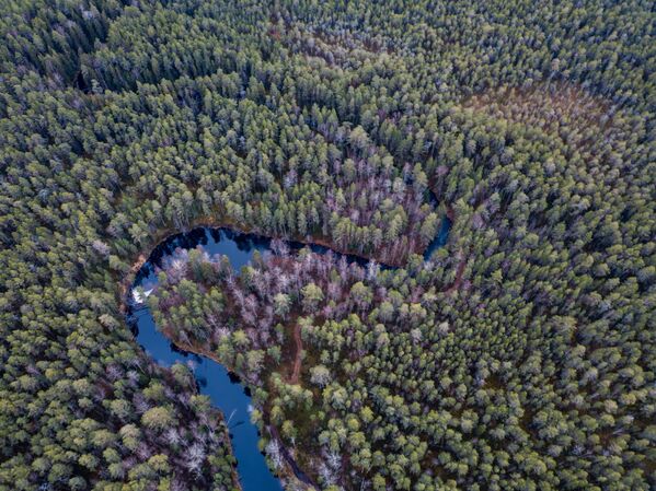 Sông Puhta ở Cộng hòa Karelia - Sputnik Việt Nam