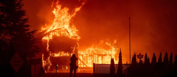 California, Mỹ - Sputnik Việt Nam