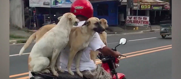 Ba con chó cưỡi xe máy đi chơi ở Philippines - Sputnik Việt Nam