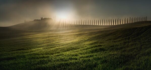 Bức ảnh Combing the Sunlight (Tia sáng mặt trời) của nhiếp ảnh gia Veselin Atanasov, giải nhất cuộc thi Epson International Pano Awards 2018 - Sputnik Việt Nam