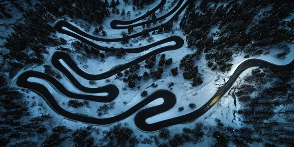 Bức ảnh Black Mamba (Mamba đen) của nhiếp ảnh gia Stefan Thaler, giải Curator's Award trong cuộc thi EPSON International Pano Awards 2018 Bức ảnh Black Mamba (Mamba đen) của nhiếp ảnh gia Stefan Thaler, giải Curator's Award trong cuộc thi EPSON International Pano Awards 2018 - Sputnik Việt Nam