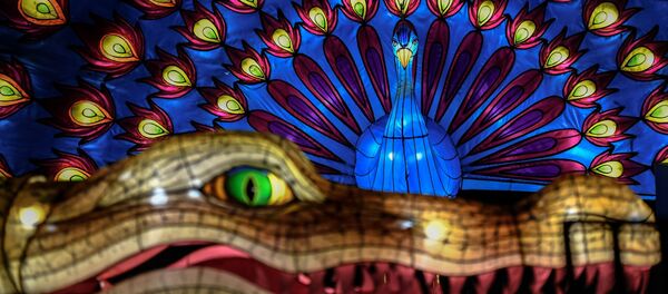 Световая инсталляция павлина в Ботаническом саду Парижа - Sputnik Việt Nam