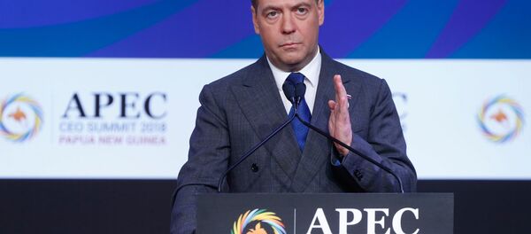 Thủ tướng Medvedev phát biểu tại hội nghị thượng đỉnh APEC - Sputnik Việt Nam