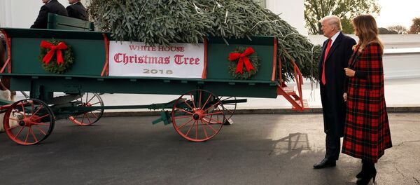 Mừng năm mới! Donald Trump và vợ đón cây thông Noel tại Nhà Trắng - Sputnik Việt Nam