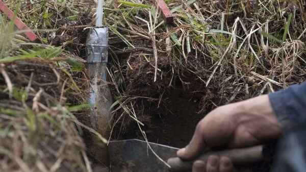 Diễn tập rà phá bom mìn chống nhân viên ở Colombia - Sputnik Việt Nam