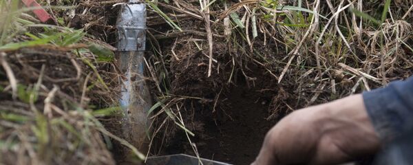 bom bom - Sputnik Việt Nam