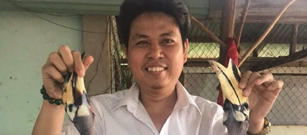 Vị giám đốc và chim quý - Sputnik Việt Nam