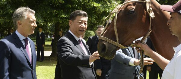 Argentina gửi ngựa polo tặng Trung Quốc - Sputnik Việt Nam