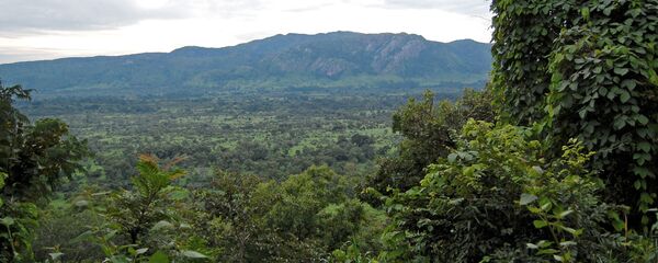 Rừng nhiệt đới - Sputnik Việt Nam