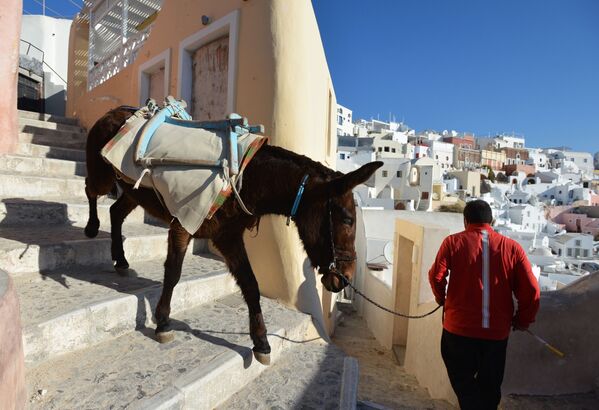 Người đàn ông với con lừa trên đường phố ở thành phố Oia trên đảo Santorini - Sputnik Việt Nam