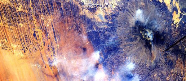 châu Phi - Sputnik Việt Nam