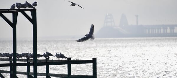 eo biển Kerch - Sputnik Việt Nam