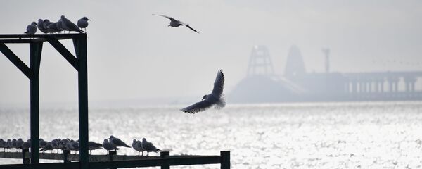 eo biển Kerch eo biển Kerch - Sputnik Việt Nam