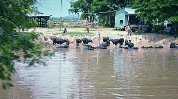 Kênh Vĩnh Tế (huyện Giang Thành, Kiên Giang), nơi Khmer Đỏ nhiều lần đưa quân tràn sang biên giới Việt Nam. - Sputnik Việt Nam