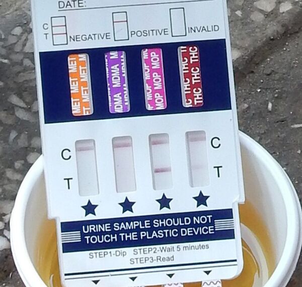 Kết quả xét nghiệm tài xế container dương tính với ma túy Kết quả xét nghiệm tài xế container dương tính với ma túy - Sputnik Việt Nam