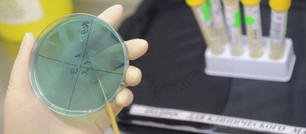 Công việc trong phòng thí nghiệm - Sputnik Việt Nam