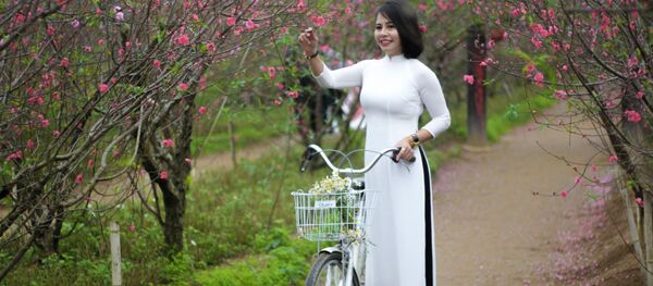 Hoa đào nở sớm còn là dịp để các thiếu nữ lên vườn đào Nhật Tân ngắm cảnh, chụp ảnh. - Sputnik Việt Nam