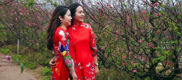 Người dân thích thú ngắm hoa đào nở sớm tại vườn hoa Nhật Tân, quận Tây Hồ. - Sputnik Việt Nam