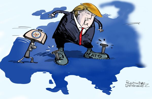 Rạn nứt bên trong NATO xuất hiện trước khi Trump lên nắm quyền - Sputnik Việt Nam