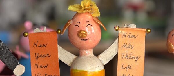 Chú heo từ vỏ trứng chào mừng năm mới Kỷ Hợi Chú heo từ vỏ trứng chào mừng năm mới Kỷ Hợi - Sputnik Việt Nam