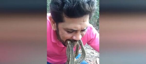 Nhà hoạt động sinh thái đưa bốn con rắn độc vào miệng để cứu rừng Amazon - Sputnik Việt Nam