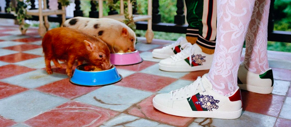 Bộ sưu tập của Gucci dành cho năm mới theo lịch phương Đông - Sputnik Việt Nam