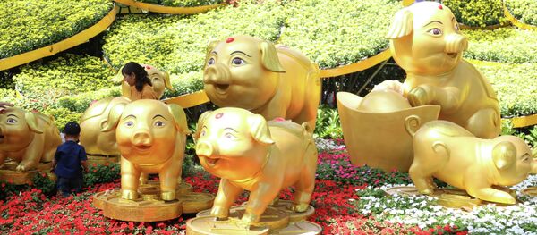 Cụm hoa và bầy linh vật Heo tại cổng vào trên đường Trường Định, TP Hồ Chí Minh. - Sputnik Việt Nam