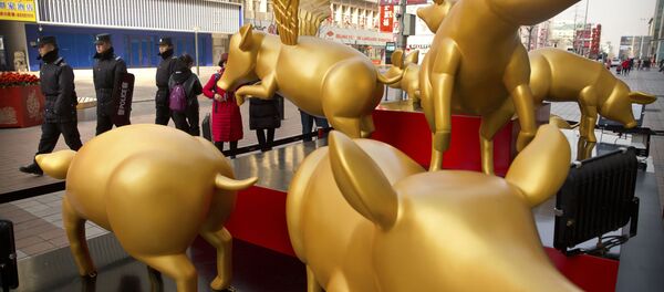 Tượng lợn vàng vinh danh năm mới theo lịch phương Đông ở Bắc Kinh - Sputnik Việt Nam