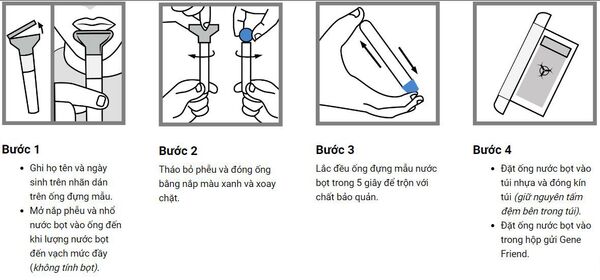 Quy trình lấy mẫu nước bọt để tiến hành phân tích gene Quy trình lấy mẫu nước bọt để tiến hành phân tích gene - Sputnik Việt Nam