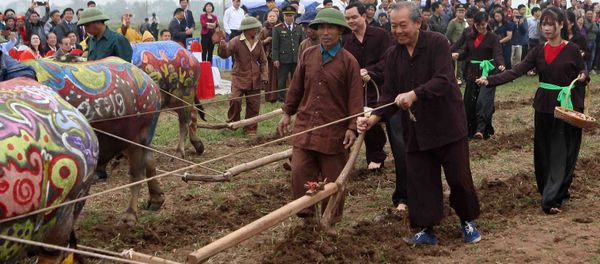 Phó Thủ tướng Thường trực Trương Hòa Bình thực hiện nghi thức xuống đồng, cày ruộng đầu năm trong lễ hội. - Sputnik Việt Nam